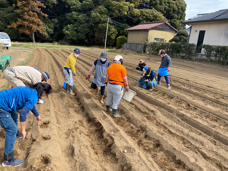 機能向上のための援助