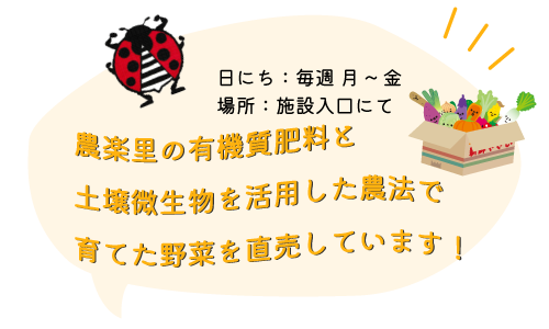 自家製無農薬野菜も直売しています！（日にち：毎週月～金、場所：施設入口にて）